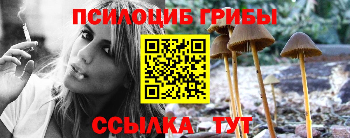 Тула  Галлюциногенные грибы Cubensis  Псилоцибиновые грибы Cubensis  Вход с VPN 